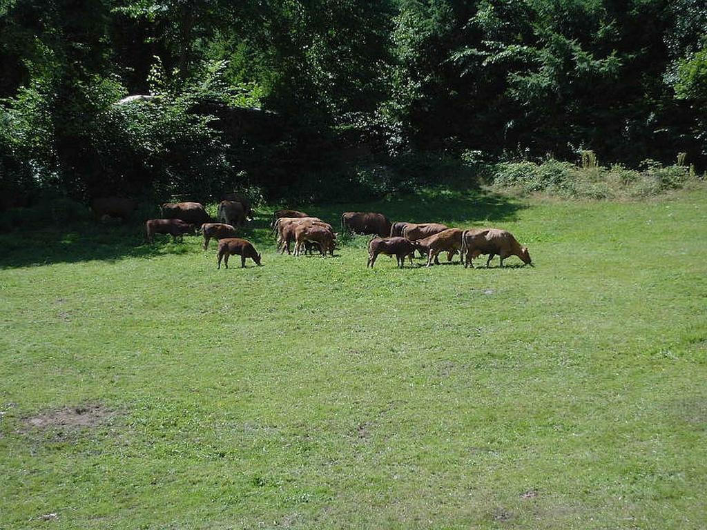 Uhlhof